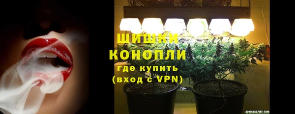 гидра Сафоново