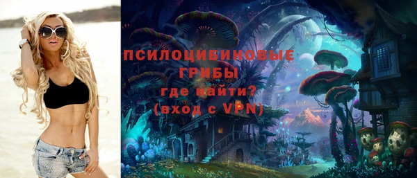 гидропоника Саяногорск