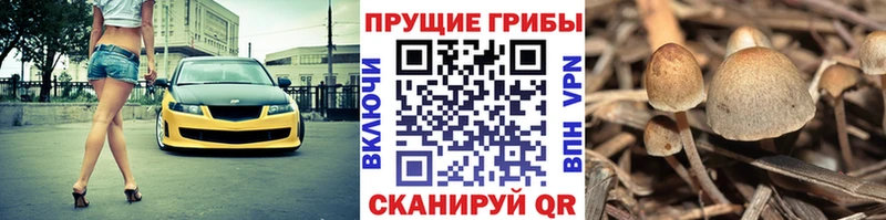Галлюциногенные грибы мухоморы  наркота  Нефтекамск 