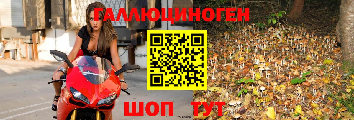 Галлюциногенные грибы мухоморы  Вход с VPN  Нефтекамск 
